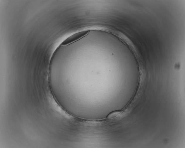 X0000110680860200906261319