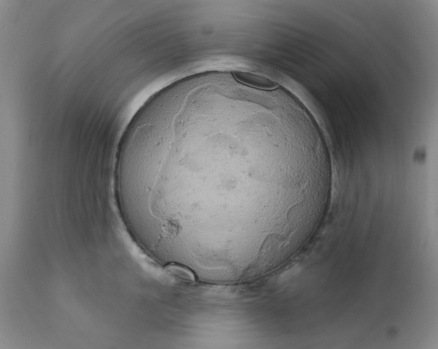 X0000110680861200906261319