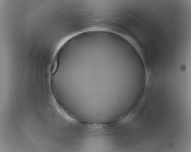 X0000110680862200906261319