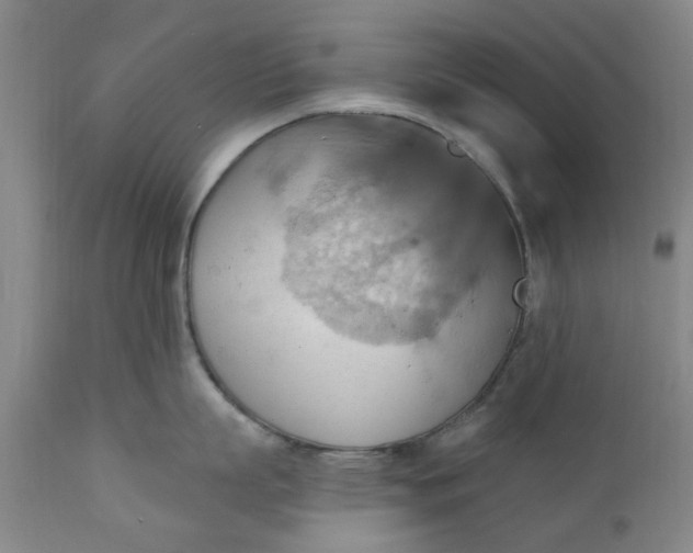 X0000110680863200906261319