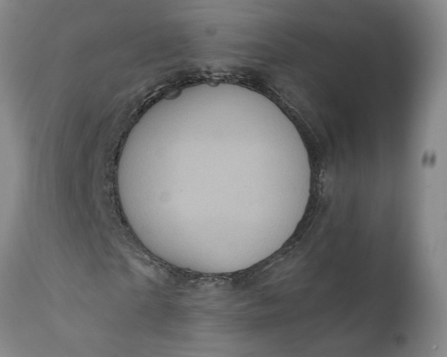 X0000110680865200906261319