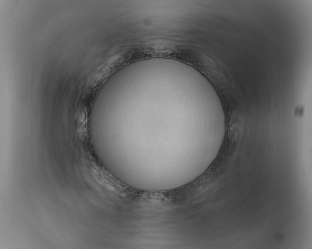 X0000110680866200906261319