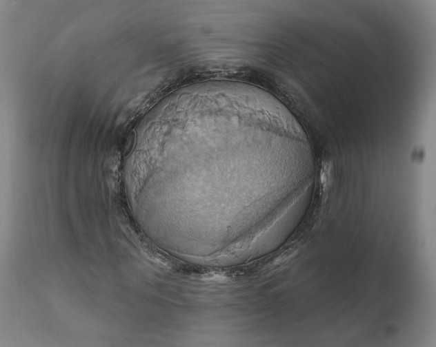 X0000110680867200906261319