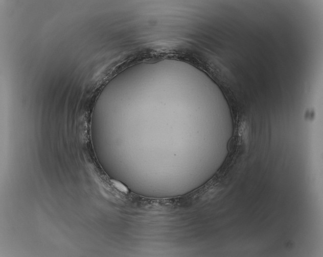 X0000110680868200906261319