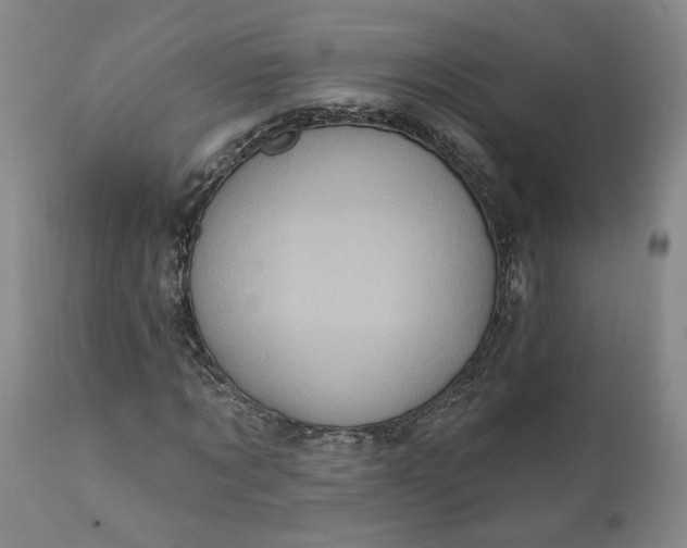 X0000110680869200906261319