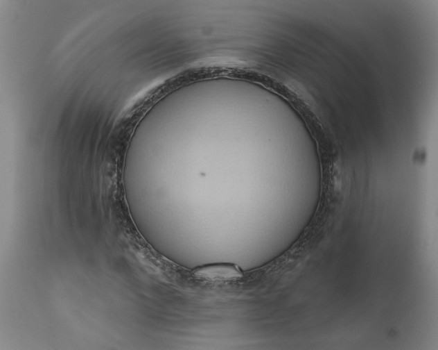 X0000110680872200906261319