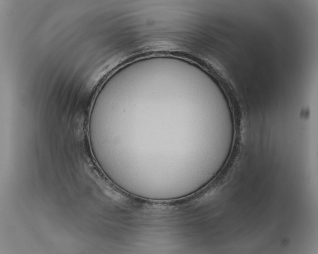 X0000110680873200906261319