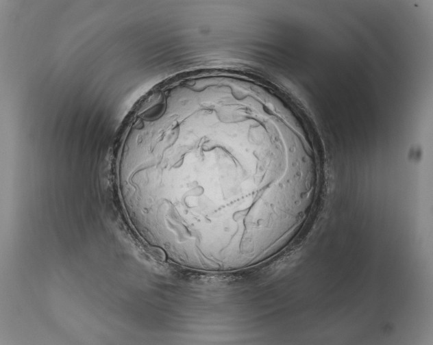 X0000110680875200906261319