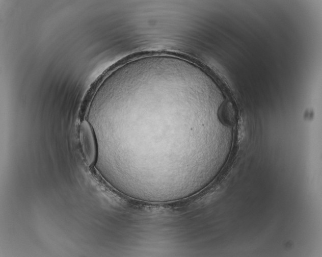 X0000110680876200906261319