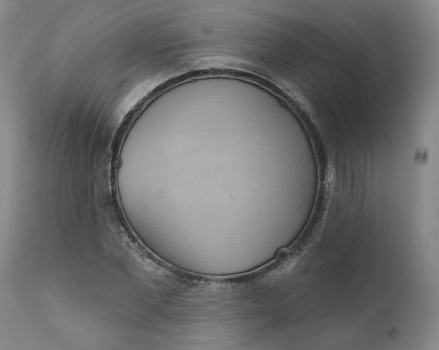 X0000110680877200906261318