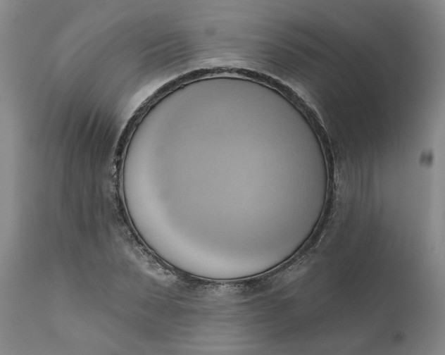 X0000110680879200906261318