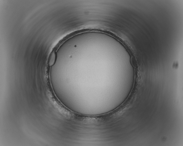 X0000110680880200906261318