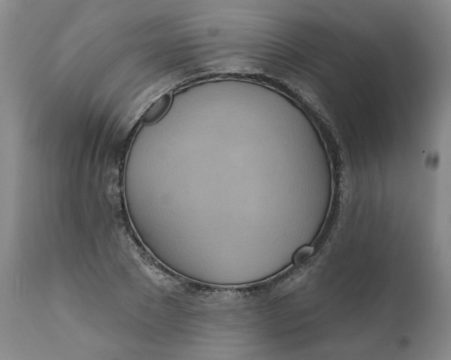 X0000110680881200906261318