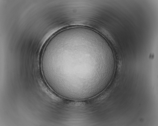 X0000110680884200906261318