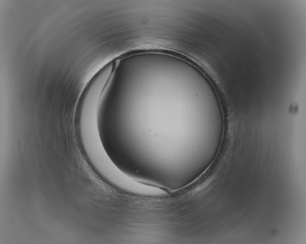 X0000110680885200906261318