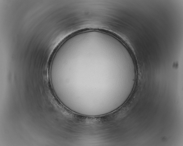 X0000110680887200906261318