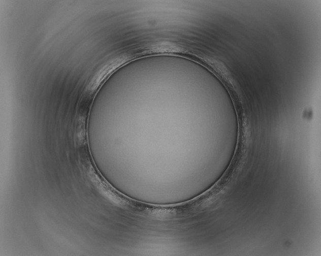 X0000110680889200906261318