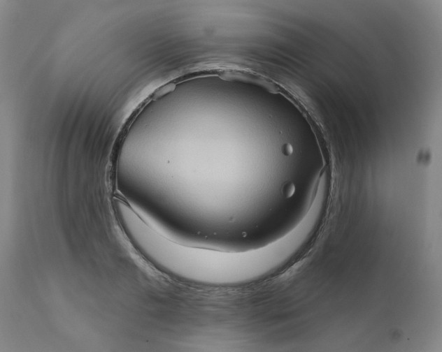 X0000110680893200906261318