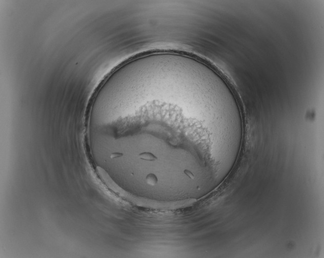 X0000110680895200906261318