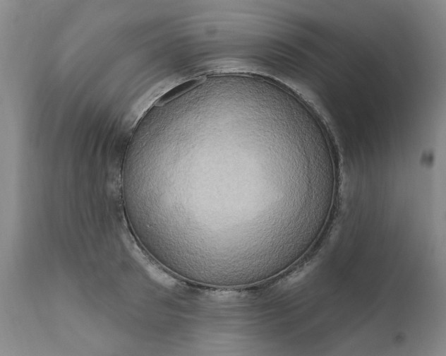 X0000110680897200906261318