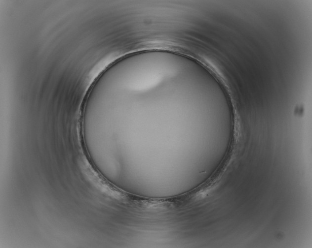 X0000110680899200906261318