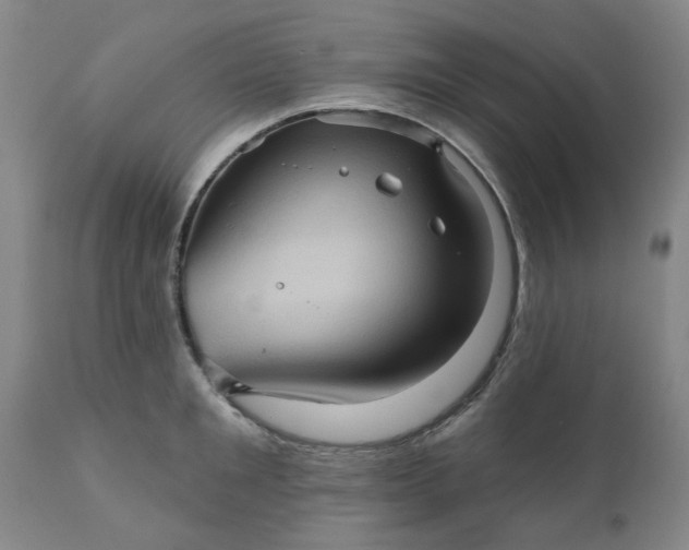 X0000110680901200906261318