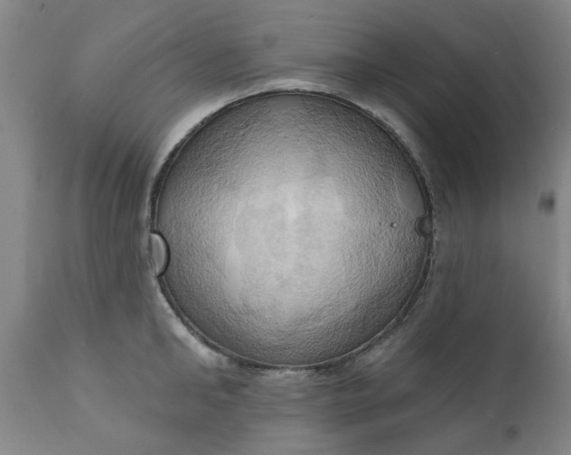 X0000110680902200906261318