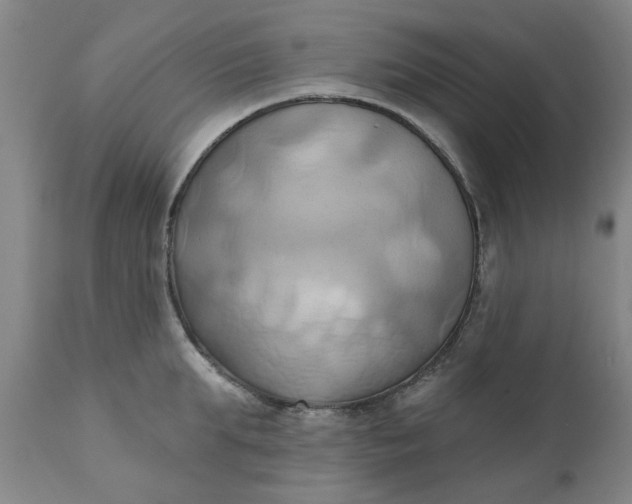 X0000110680903200906261318