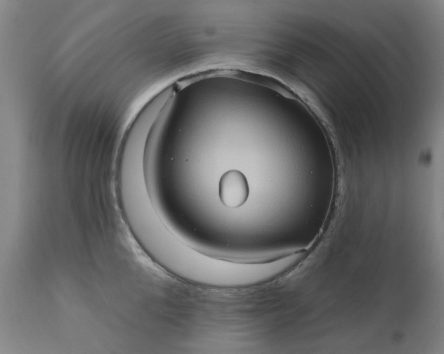 X0000110680904200906261318