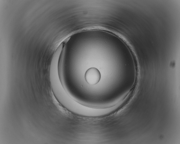 X0000110680905200906261318