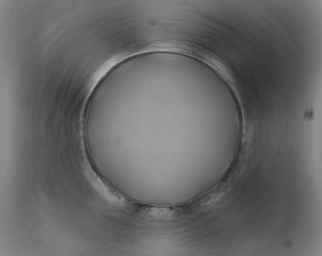 X0000110680907200906261318