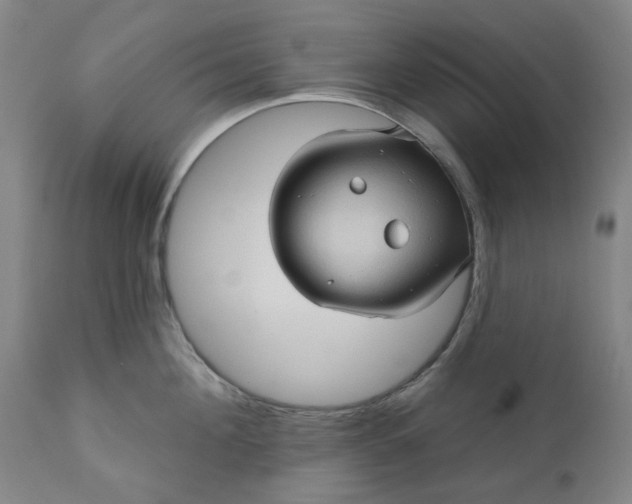 X0000110680908200906261318