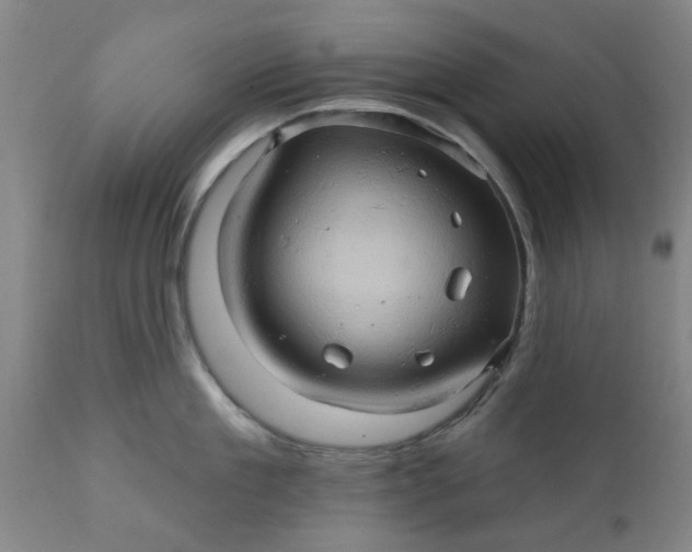 X0000110680909200906261318