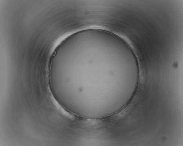 X0000110680910200906261318