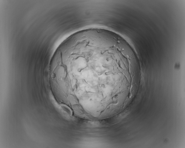 X0000110680911200906261318