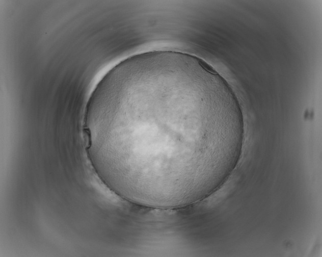 X0000110680912200906261318