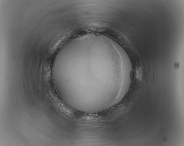 X0000110680915200906261317