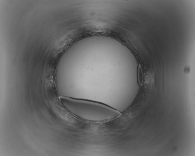 X0000110680916200906261317