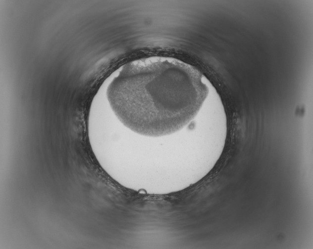 X0000110680918200906261317