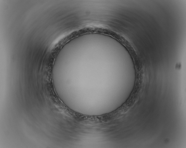 X0000110680919200906261317