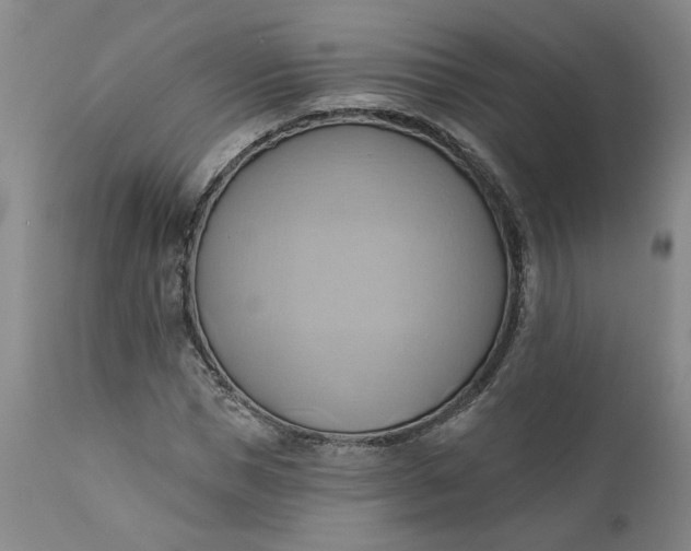 X0000110680921200906261317