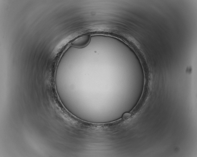 X0000110680922200906261317