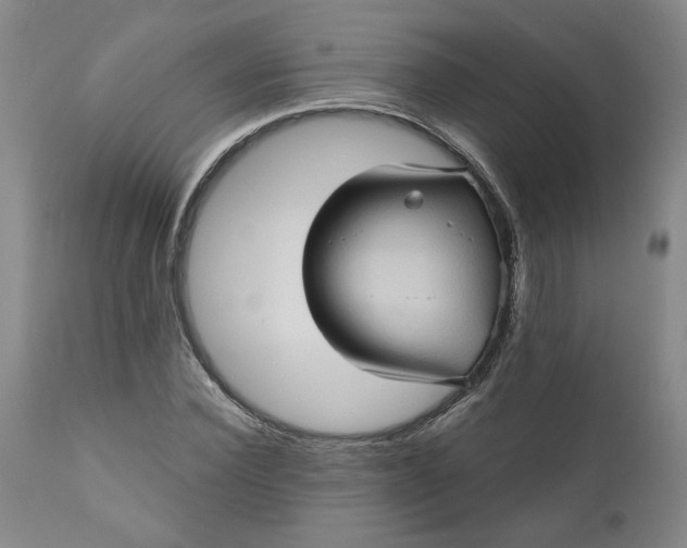 X0000110680924200906261317