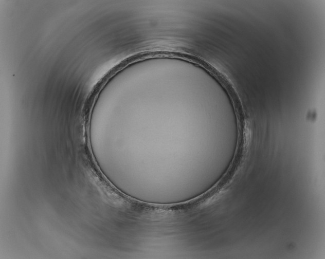 X0000110680925200906261317