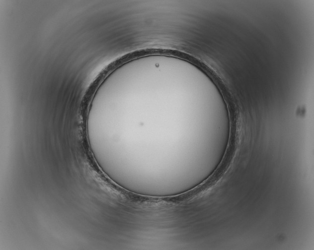 X0000110680926200906261317