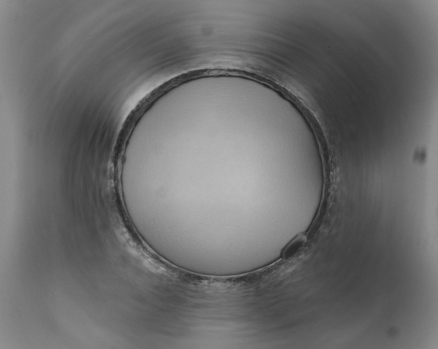 X0000110680928200906261317