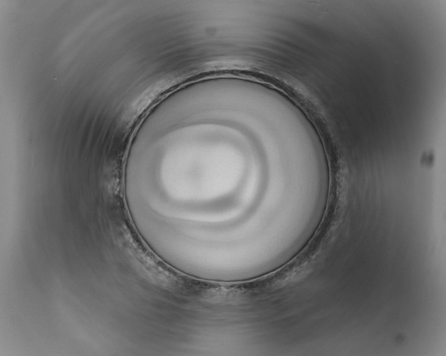 X0000110680929200906261317