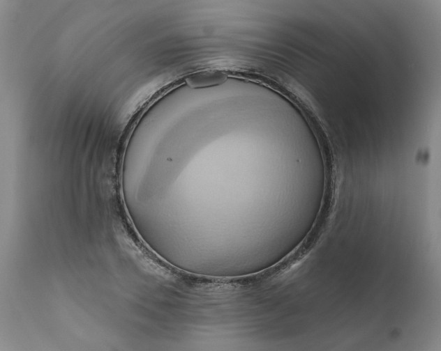 X0000110680930200906261317