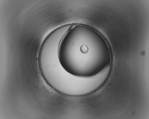 X0000110680936200906261317