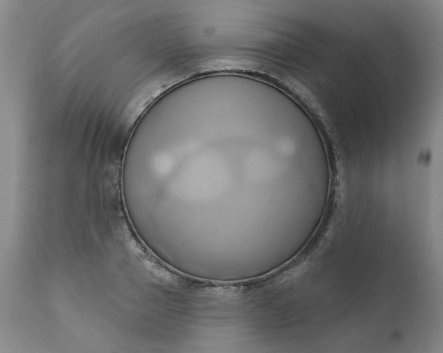 X0000110680937200906261318